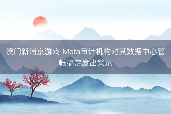 澳門新浦京游戲 Meta審計機構(gòu)對其數(shù)據(jù)中心管帳搞定發(fā)出警示